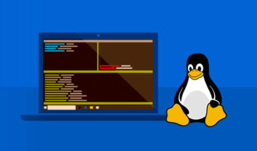 Справочник по сетевым командам в операционной системе Linux